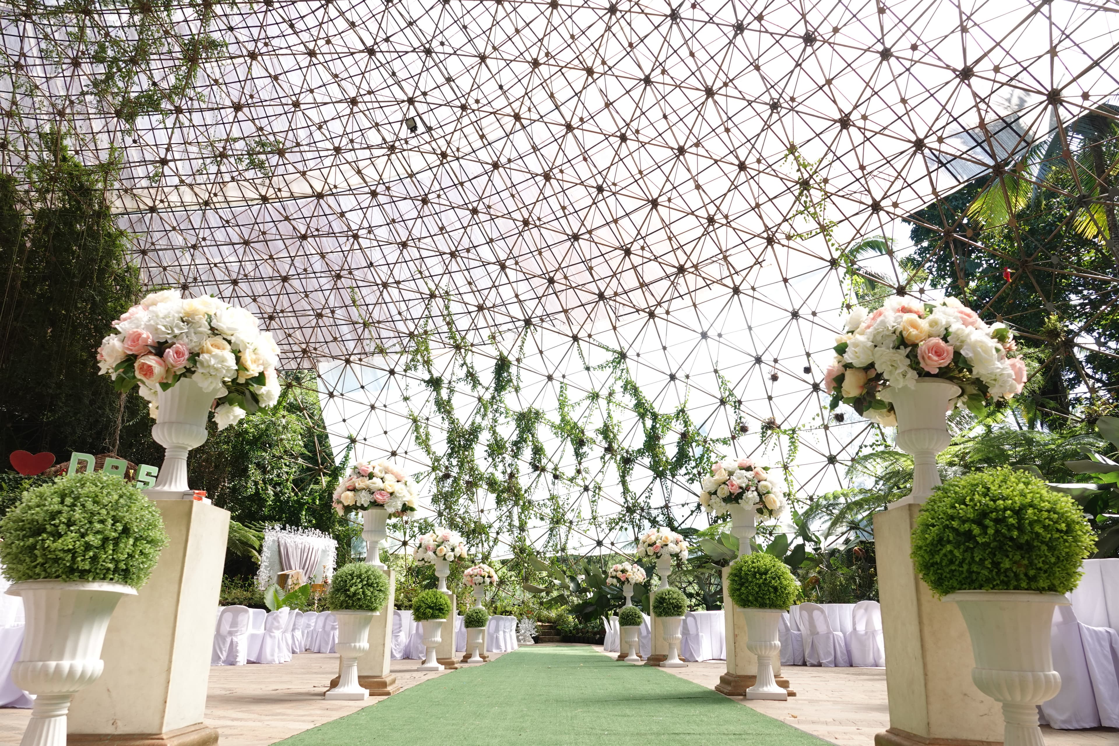 1 Bedroom Ocean Suite with Pool